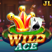 Wild Ace Spin Time game